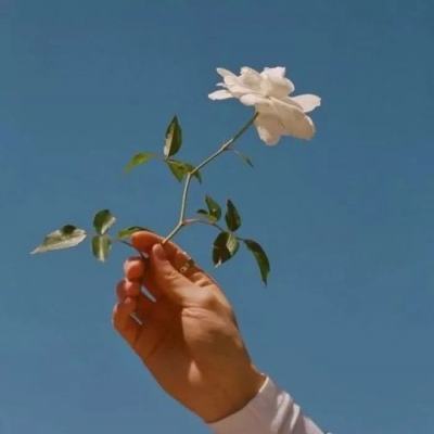 小小西游ol百度正版下载